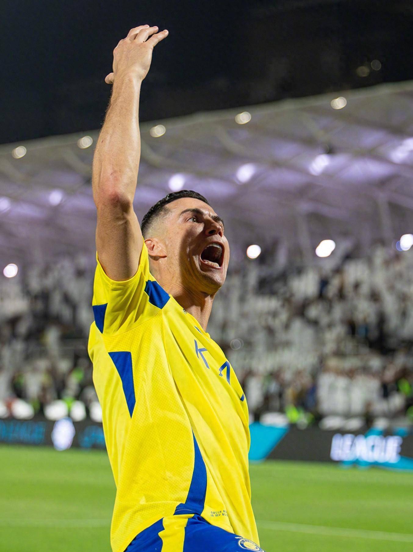 本无力反击 本无力反击