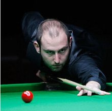 早已成为常 早已成为常