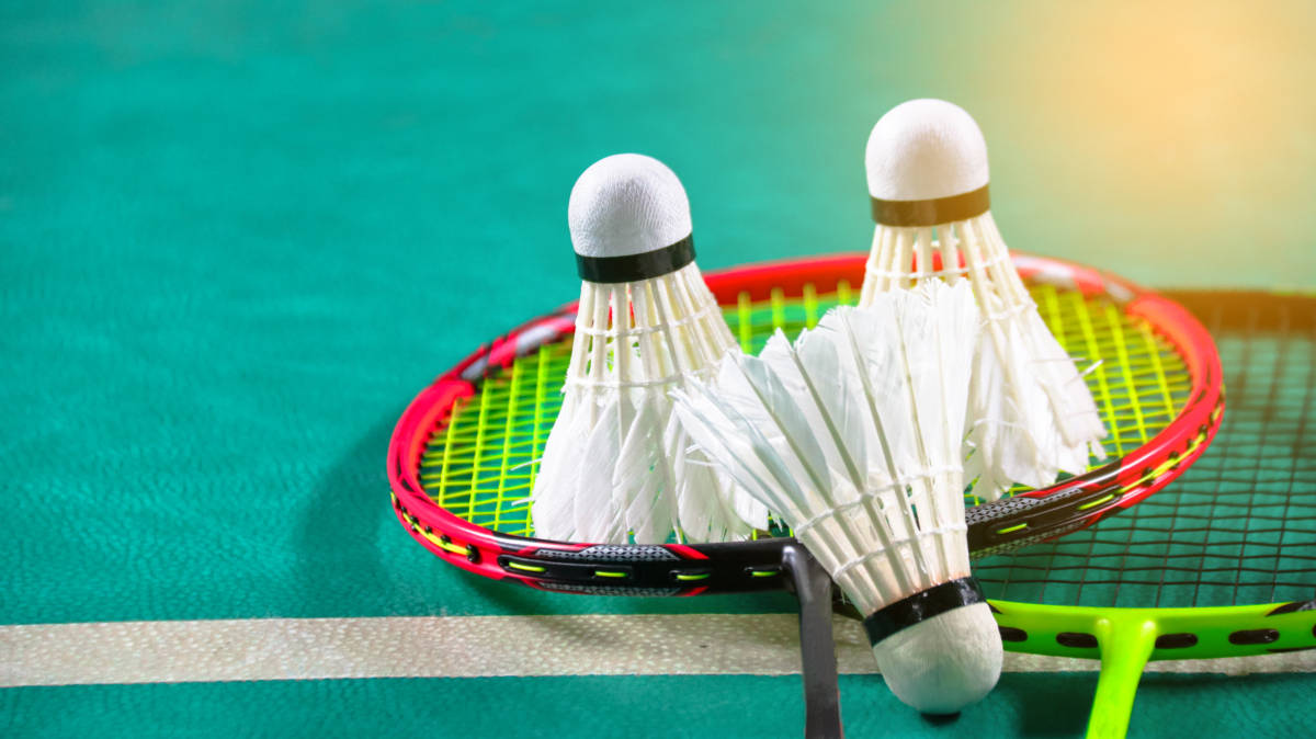 国家队的队 国家队的队