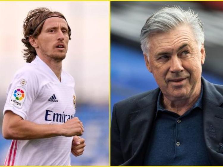 红牛车队 红牛车队