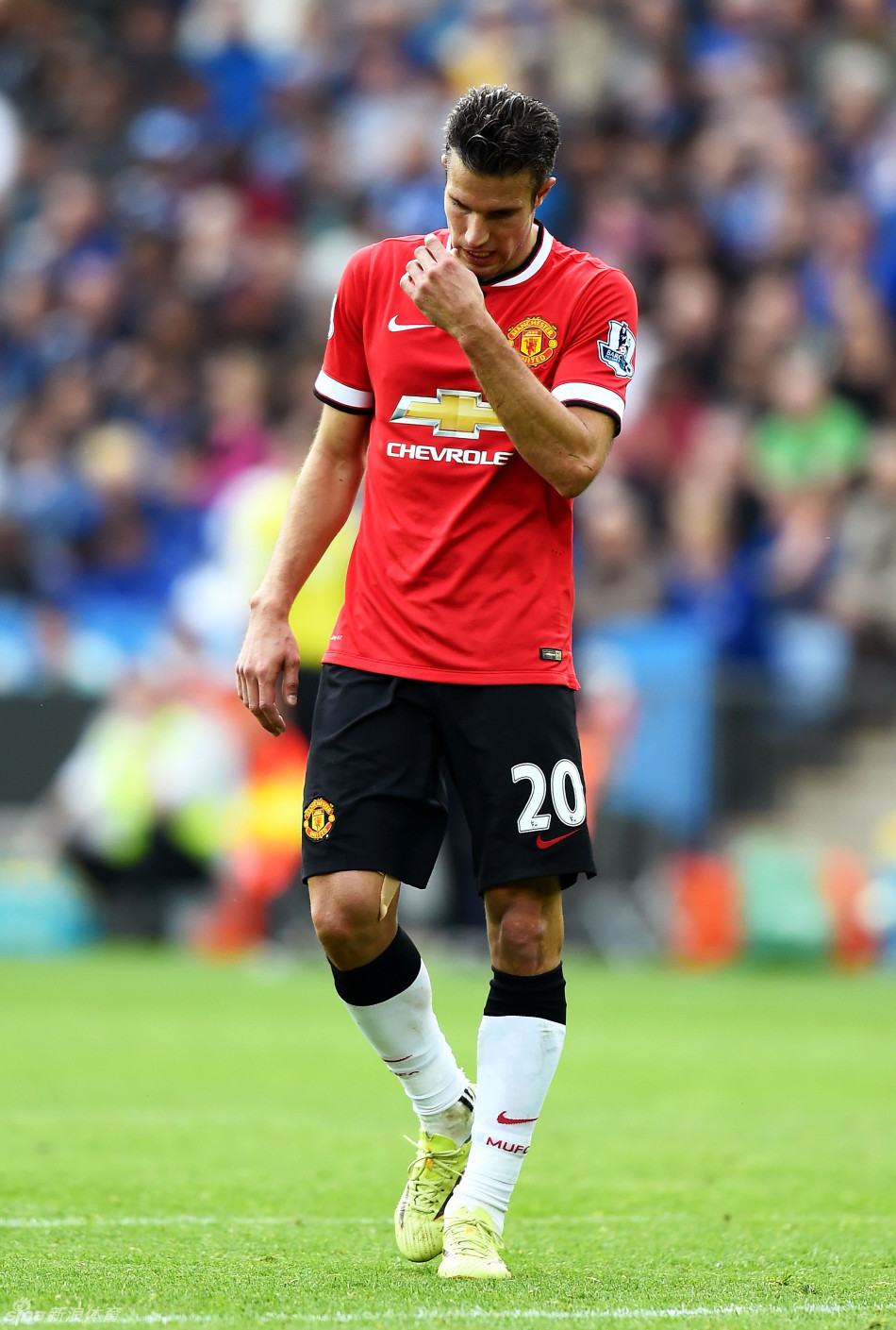 锋线结构的 锋线结构的